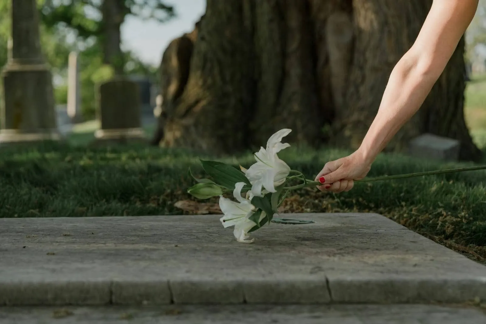 No Funeral Or Memorial Service 5 Meaningful Ways To Say Goodbye