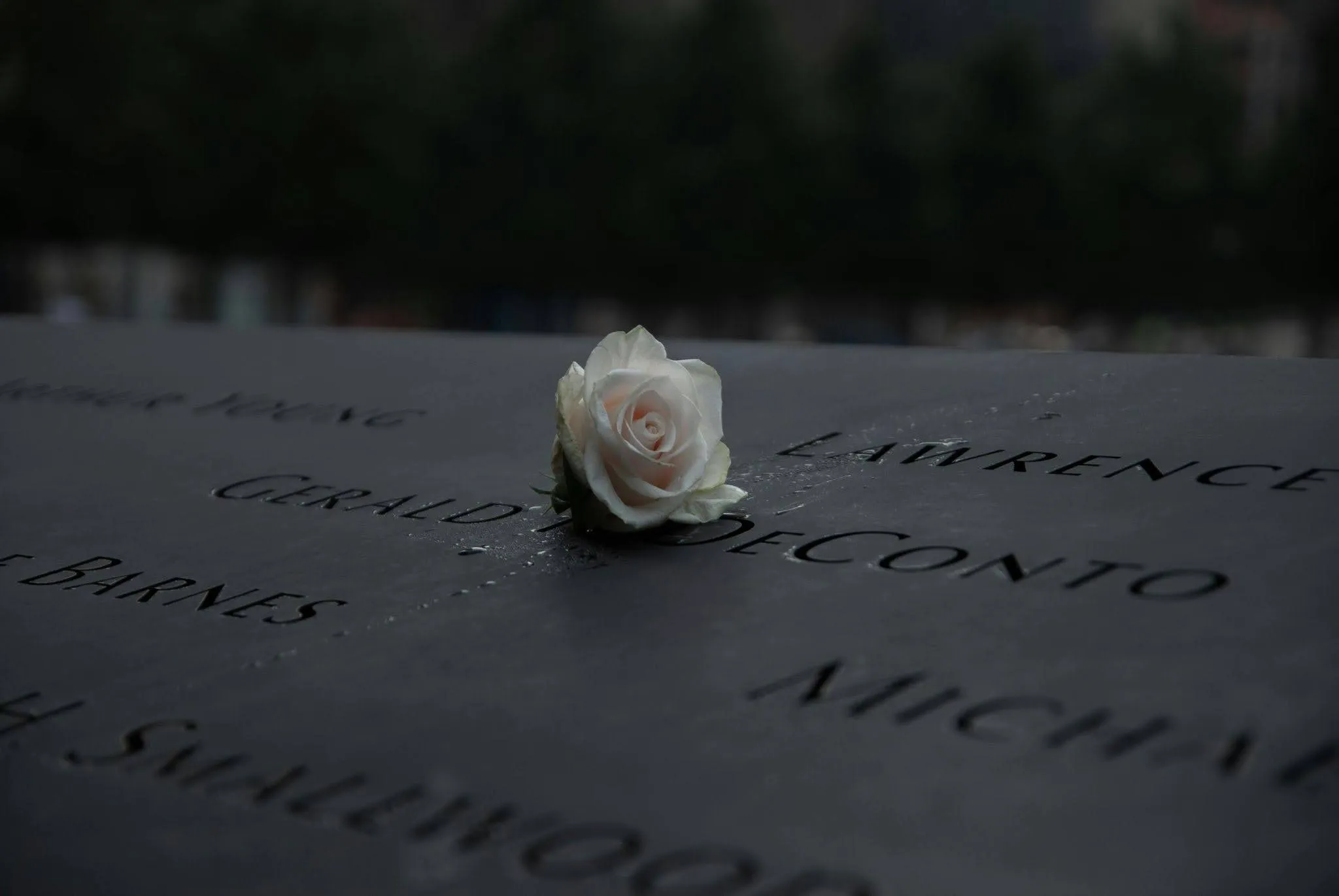 How To Make An Obituary: Step-By-Step Writing Guide